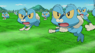 Froakie_Double_Team