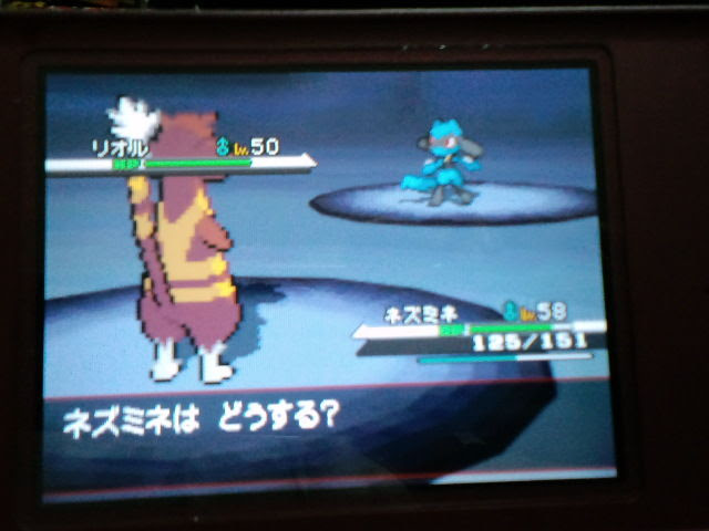 最高 ポケモン ホワイト 修行の岩屋 最も人気のある画像