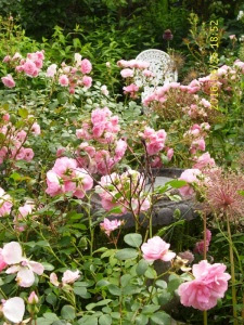 Was tun, um die schleimigen weichtiere von salaten und pflanzen fern zu halten? Mein Garten Annettes Garten