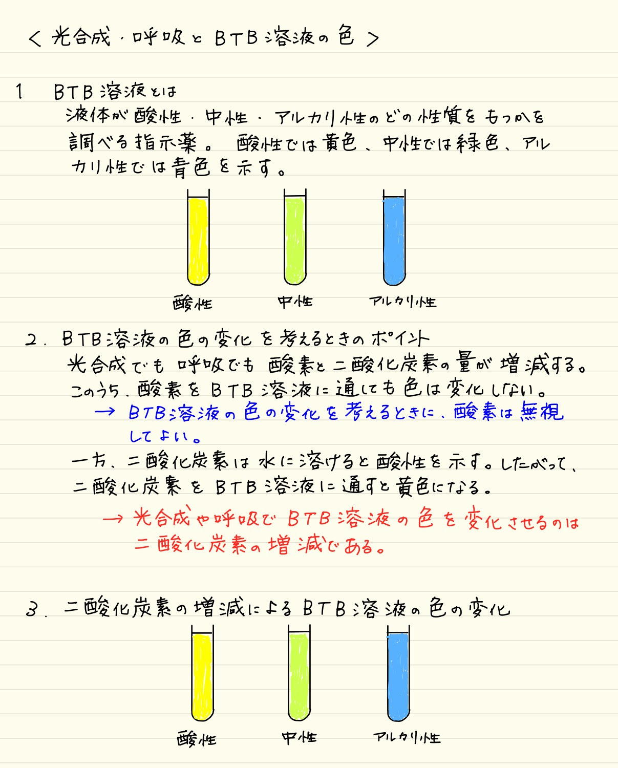 最高の画像 フレッシュ Btb 溶液 オオカナダモ