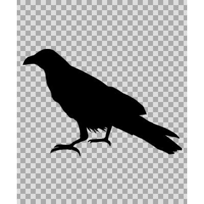 あなたのためのイラスト トップ100 シルエット カラス イラスト かっこいい