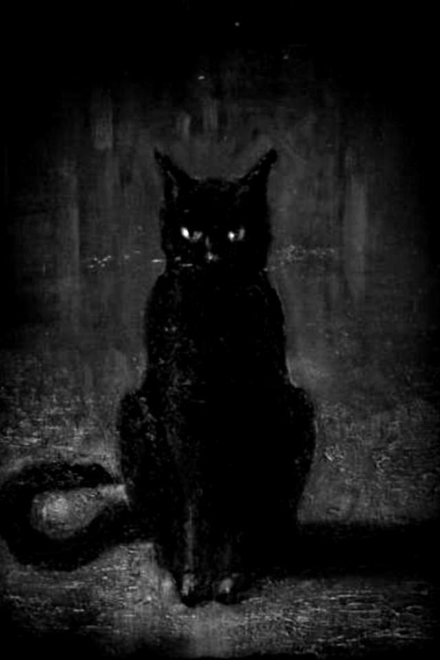 腐敗した 喜び 暖かさ 壁紙 黒 猫 Hairliving Allone Jp
