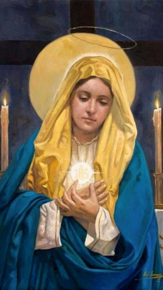 Image result for image of our lady of lourdes with eucharist