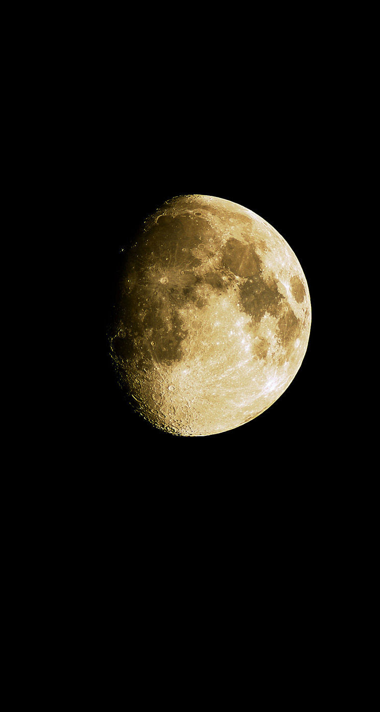 最高土星 壁紙 高画質 最高の花の画像