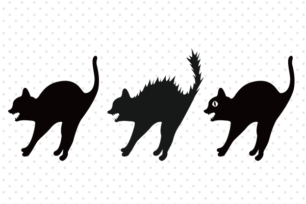 イラスト集 最高猫 威嚇 イラスト