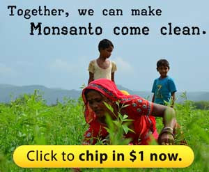 Together, we can make Monsanto come clean. Chip in $1 now.