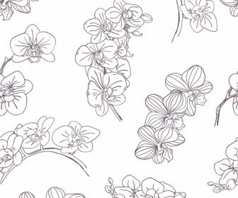 Sketsa Gambar Bunga Anggrek Hitam Putih