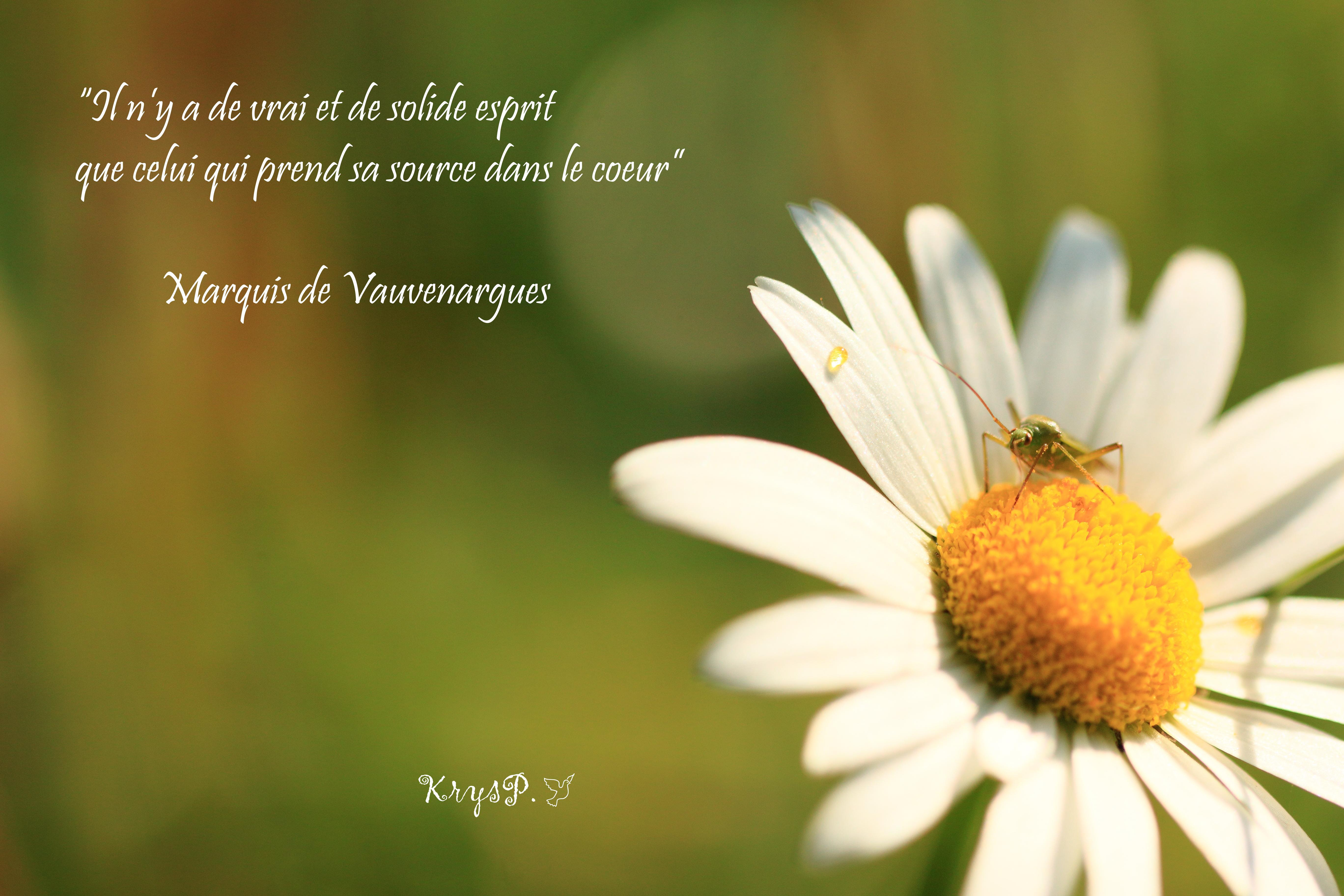 Citation Nature Beaute