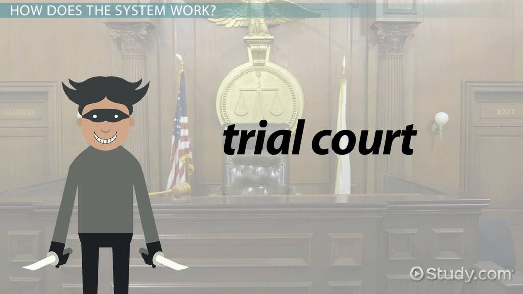 The courtroom of the supreme court of the united states. Judicial Branch Of Government Definition Role Power Video Lesson Transcript Study Com