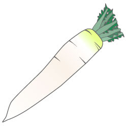50 だいこん イラスト 花の画像