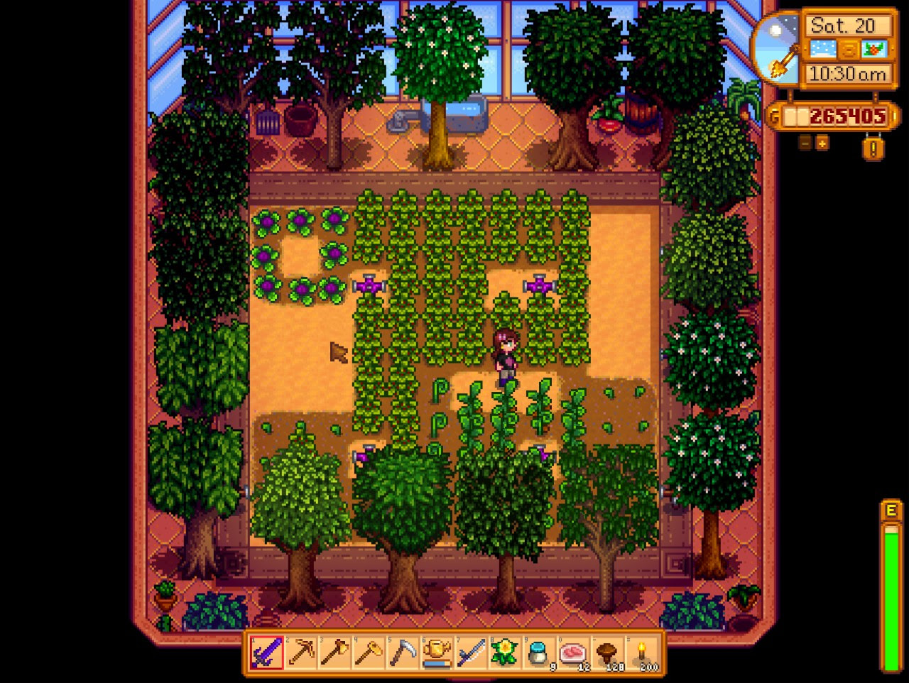 Stardew Valley Fruit Trees 99degree