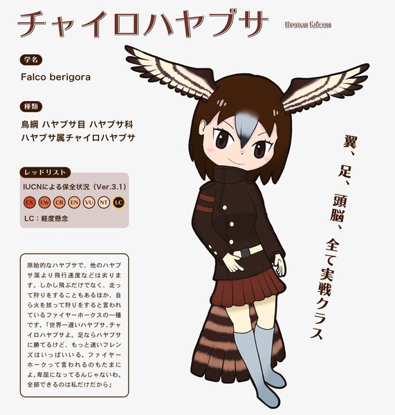ユニークはやぶさ 鳥 イラスト ディズニー画像のすべて