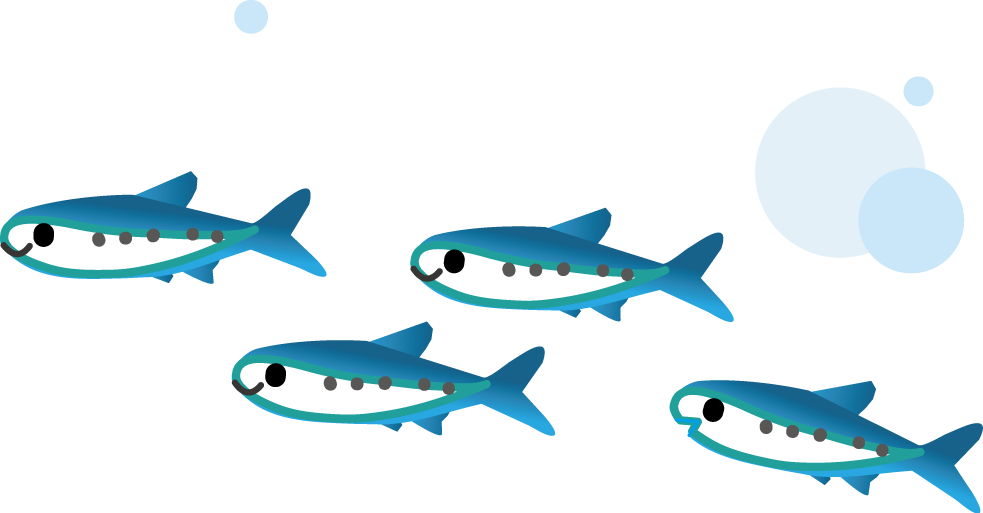 美しい花の画像 心に強く訴える小魚 イラスト リアル