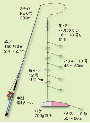 ベスト50 マス 釣り 方 すべての魚の画像