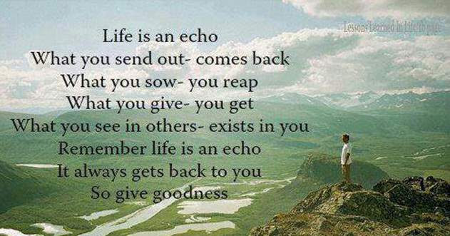 What you sow, you reap. Life Is An Echo Quote 06 Quotesbae