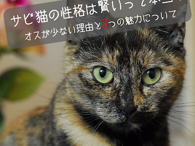 √70以上 イラスト 猫 色 種類 456055