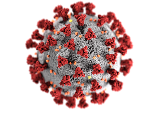 Image of Virus