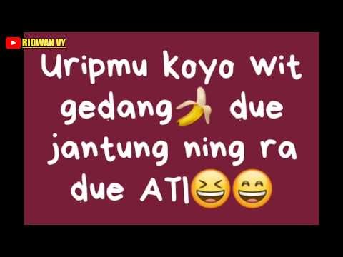 Viral Status WA lucu  Bahasa  Jawa part Video status lucu  
