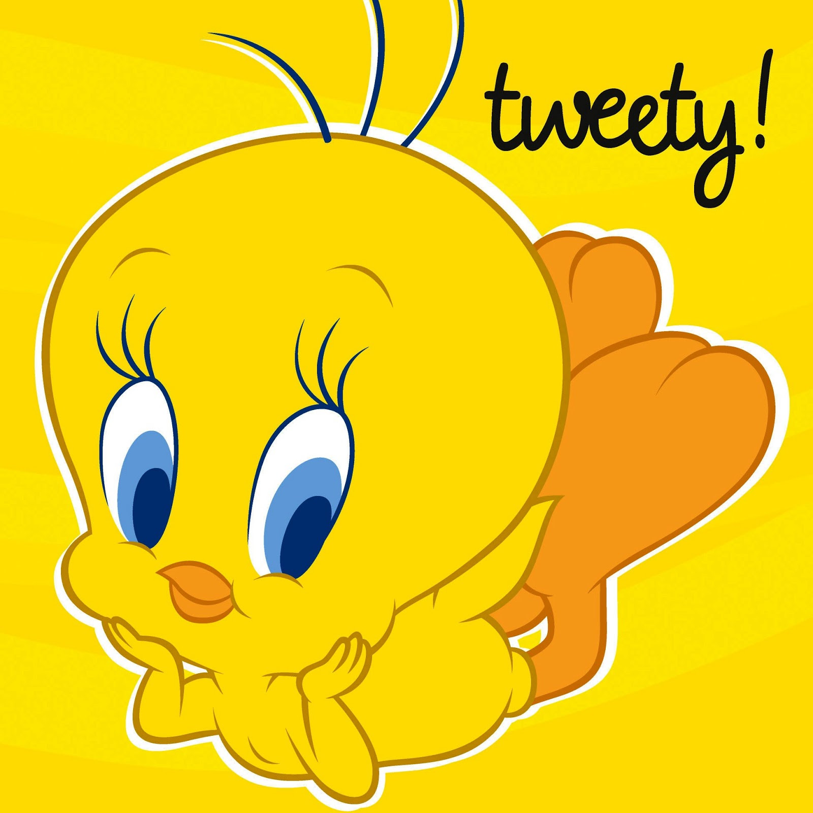 50 素晴らしいtweety 壁紙 最高の花の画像