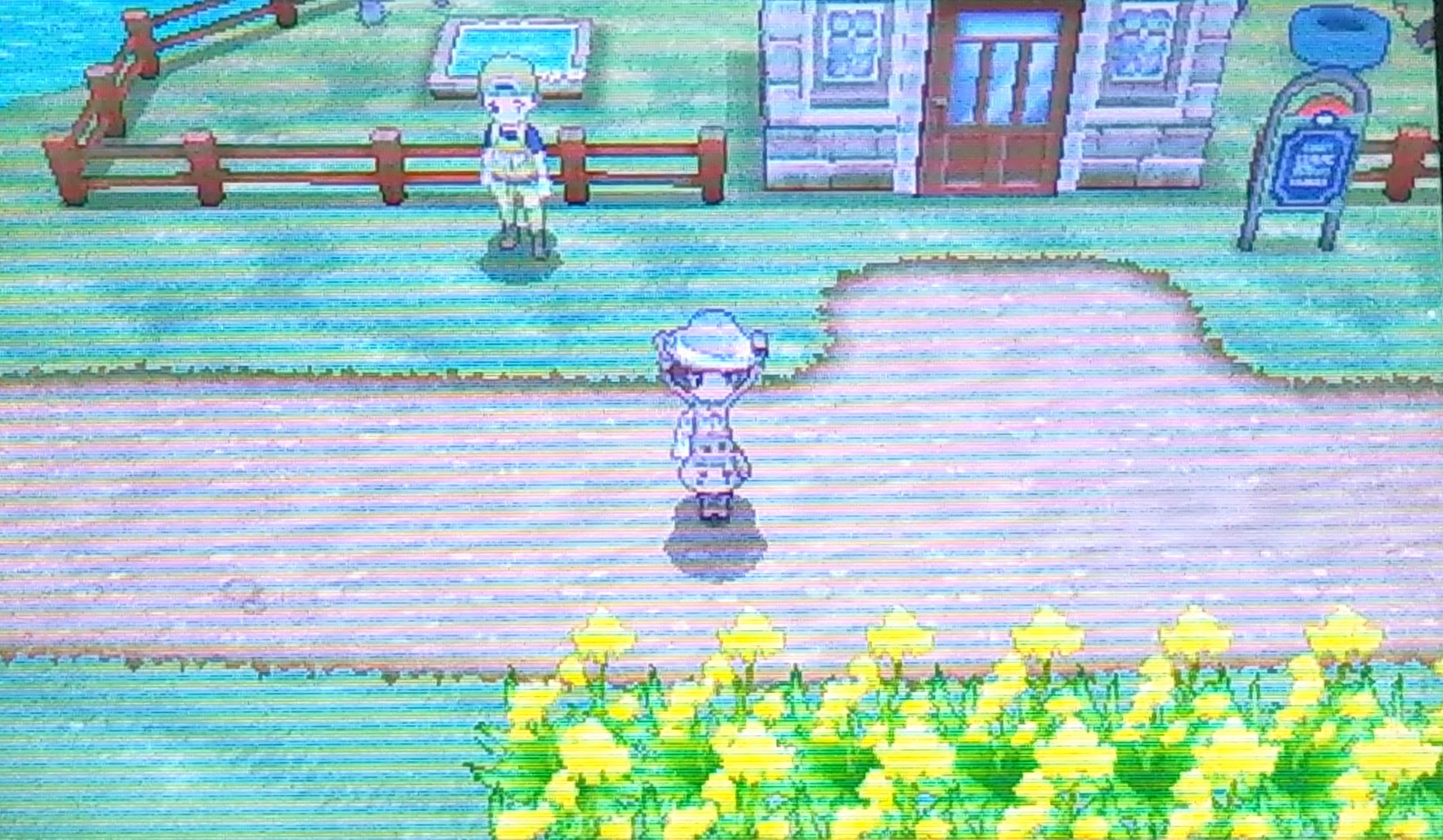 ポケモン オメガ ルビー Gts やり方 イメージポケモンコレクション