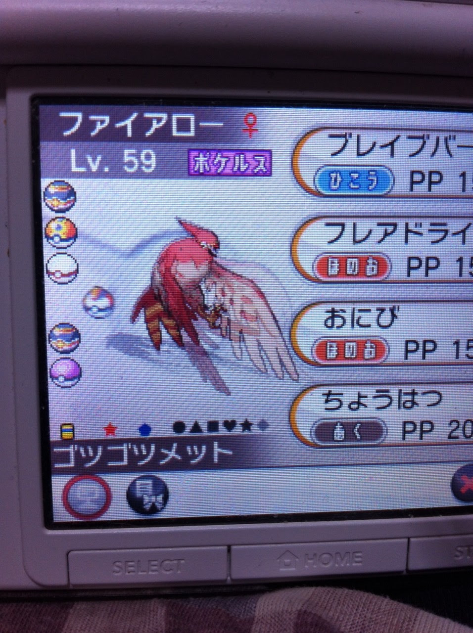 ポケモンxy ファイアロー 最高のイラストと図面