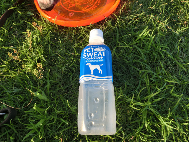 Jpirasutowedrg3 上 犬 スポーツドリンク 犬 スポーツドリンク 薄める