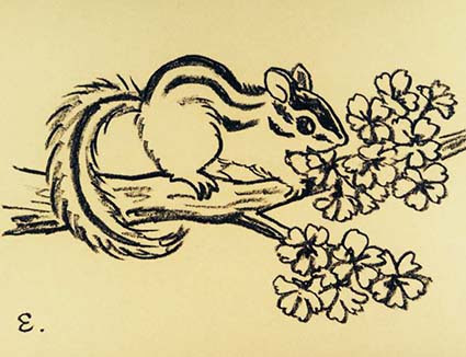 最高の動物画像 最新のhdリス イラスト 簡単