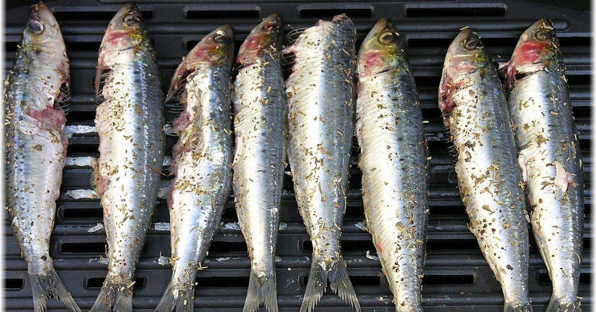 50 Shishamo 壁紙 Shishamo ロゴ 壁紙 Gambarsaehly