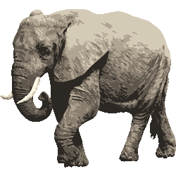 すべての動物の画像 75 象 イラスト リアル