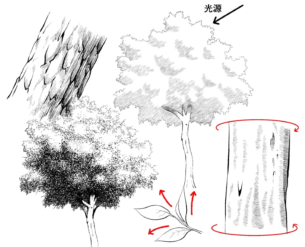 書き方 桜の 木 イラスト 簡単 1605