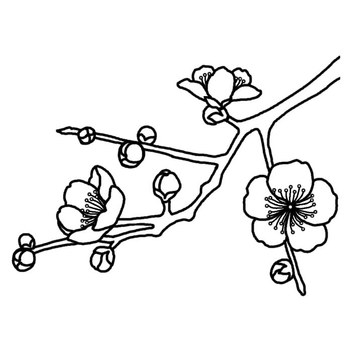 トップ100 梅 の 花 梅 イラスト 白黒 最高の動物画像