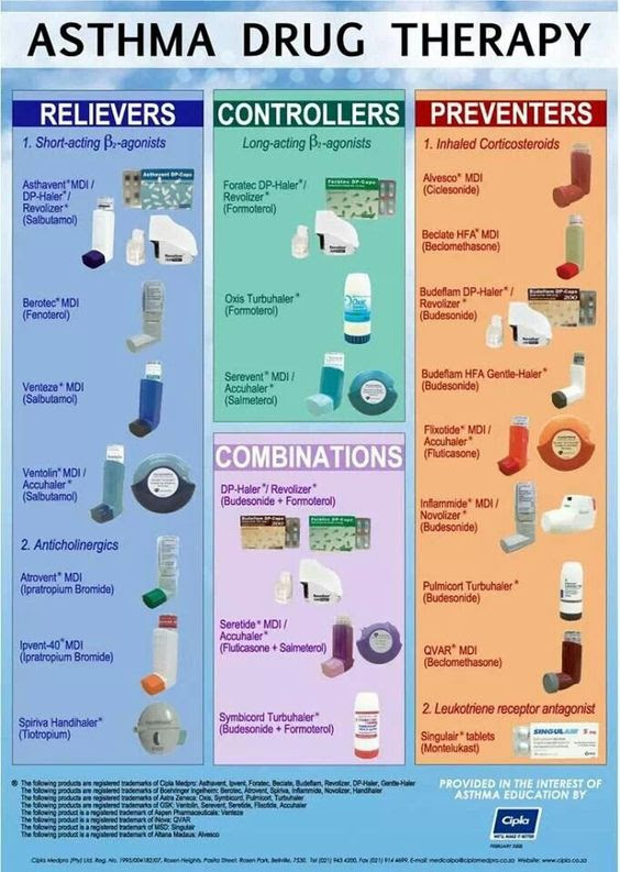 Collection of 1000+ color palettes. What Is Asthma