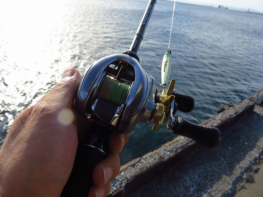 ロイヤリティフリーディアルーナ 86ml 魚のすべて