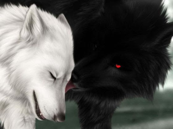 Znalezione obrazy dla zapytania black and white wolf