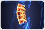 Researchers uncover locomotor engine in the spinal cord
