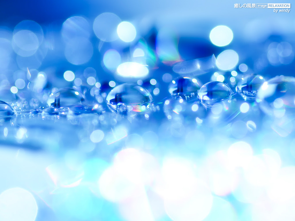 最高のクラゲ 壁紙 高画質 Pc 最高の花の画像