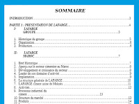 Rapport De Fin De Stage Exemple