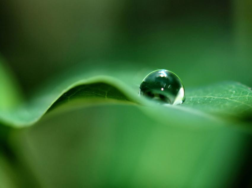 Последние твиты от l'écrin de verdure (@ecrindeverdure). Telechargement Gratuit De L Image Fonds D Ecran Nature Arbres Verdure Par Darkness