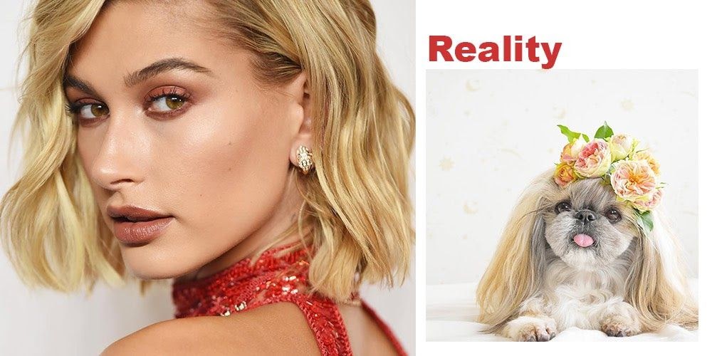 Model Warna Rambut  Pria  Abu  Abu  Model Terbaru