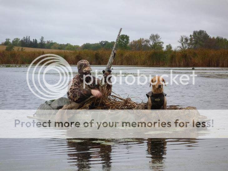 sibabob: Context Otter outdoors phantom duck boat