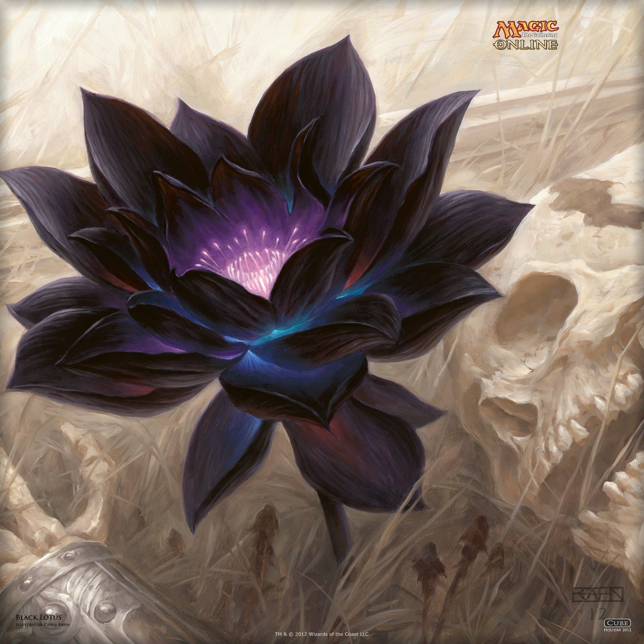 ベストmtg 壁紙 最高の花の画像