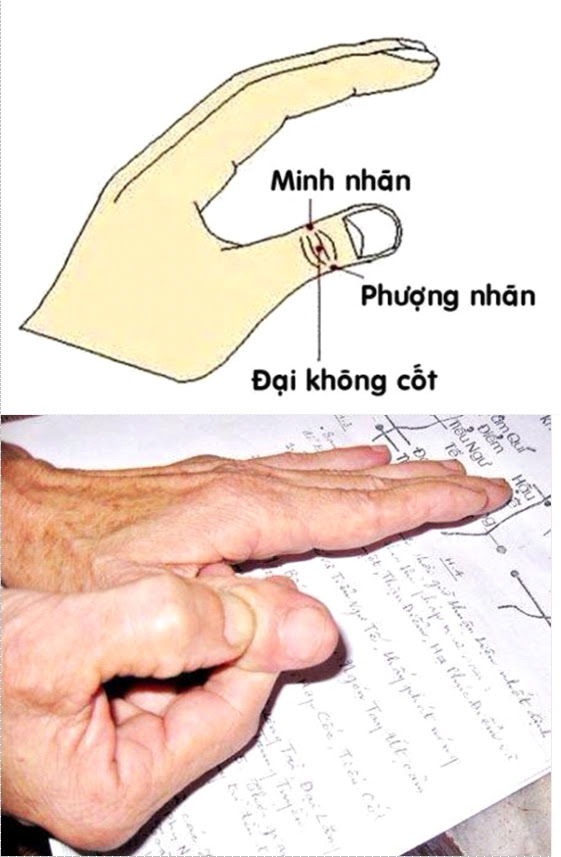 Giáo sư Đông y: Dù gần như bị mù, nhưng tôi đã tự làm mắt mình sáng lại theo cách này - Ảnh 3.