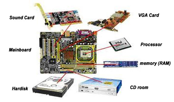 Contoh Hardware Dalam Sistem Komputer - Contoh 317