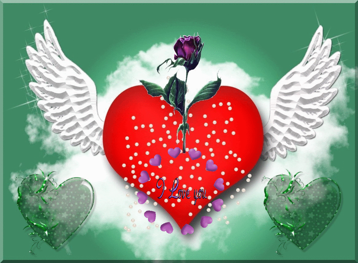 Red Rose I Love You Gif