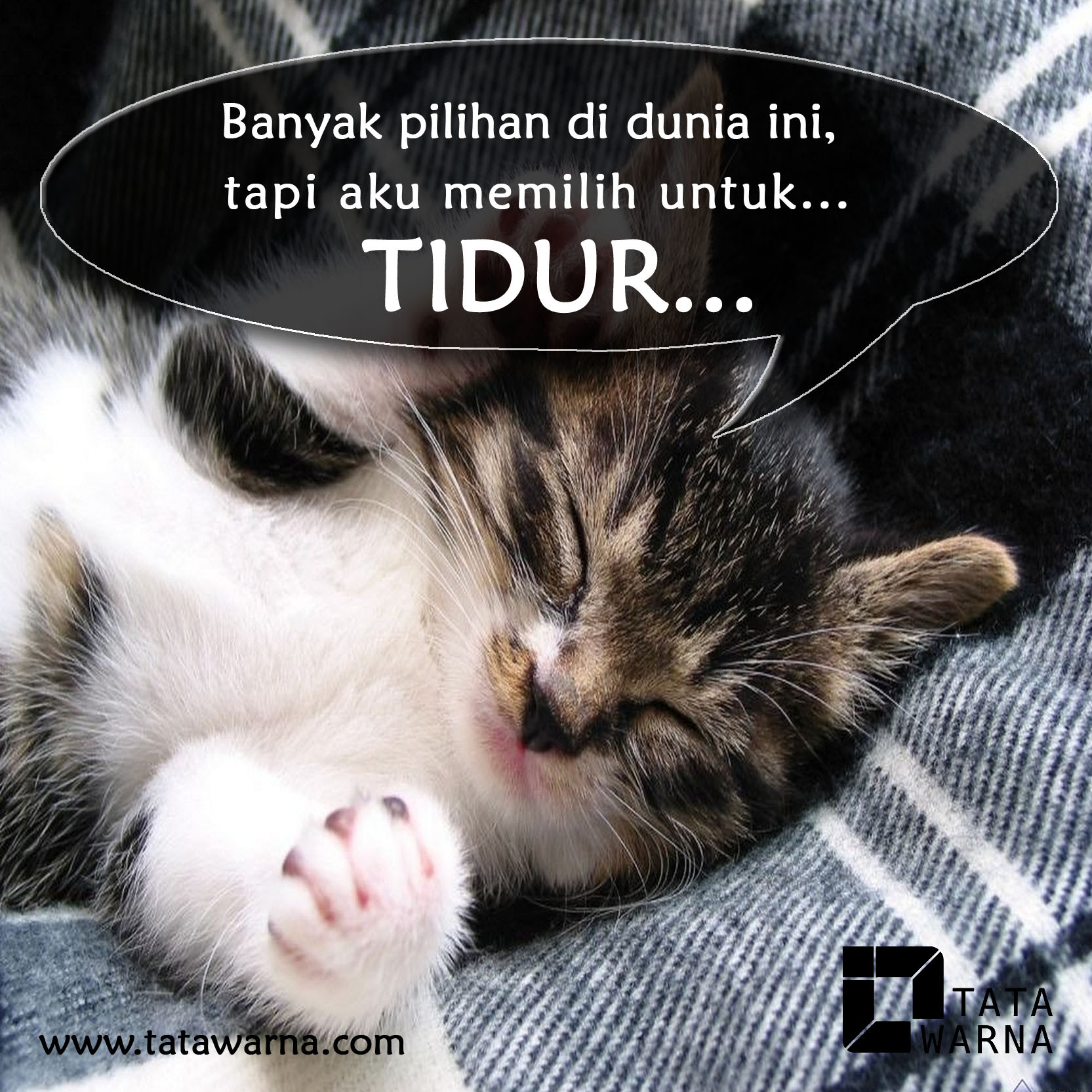 Dp Bbm Bergerak Kucing Lowongan Kerja Indonesia