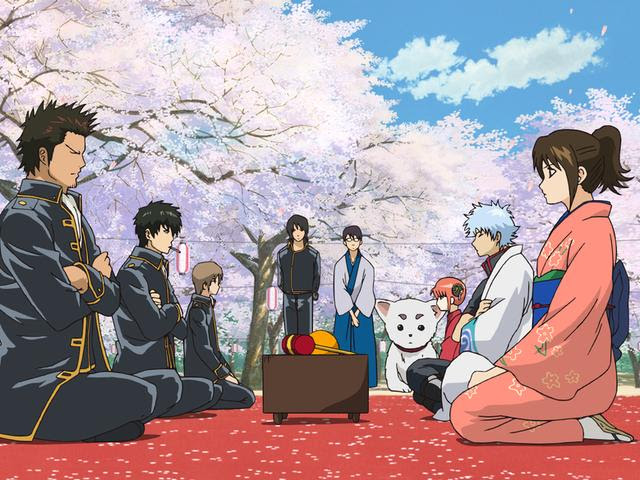 Hd限定銀魂 アニメ 面白い回 すべての動物画像
