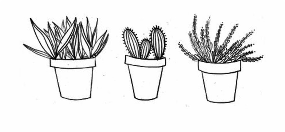 Choose from over a million free vectors, clipart graphics, vector art images, design templates, and illustrations created by artists worldwide! Free Black And White Cactus Clipart Download Free Black And White Cactus Clipart Png Images Free Cliparts On Clipart Library