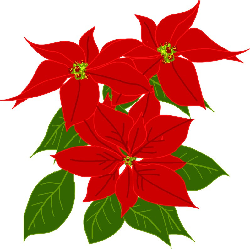 ベストクリスマス 花 イラスト フリー かわいいディズニー画像