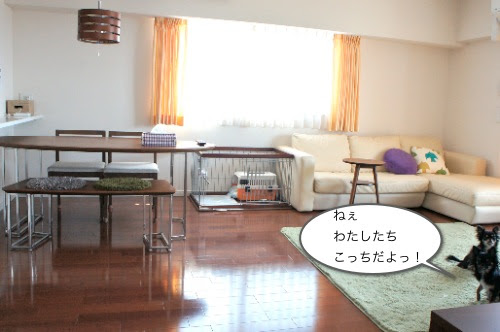 すべてのカタログ 最新のhd 室内 犬 ケージ 置き場 所