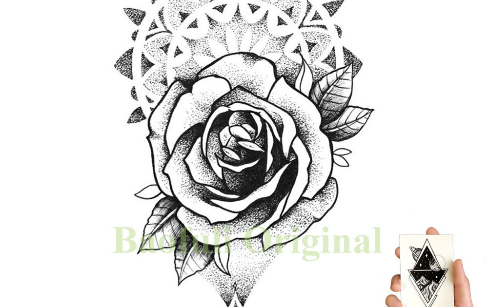 Paling Keren 25 Sketsa  Bunga Mawar Dari Pensil  Gambar 